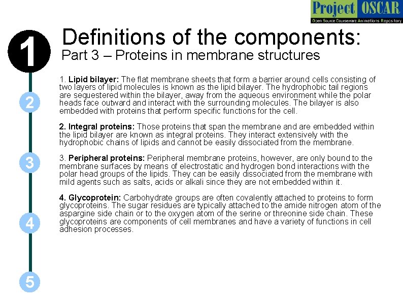 1 2 Definitions of the components: Part 3 – Proteins in membrane structures 1.