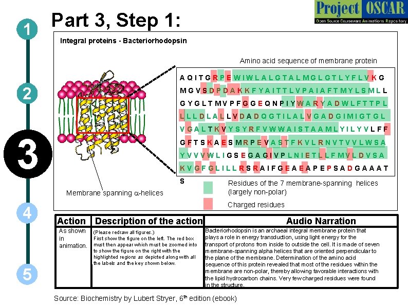 Part 3, Step 1: 1 Integral proteins - Bacteriorhodopsin Amino acid sequence of membrane