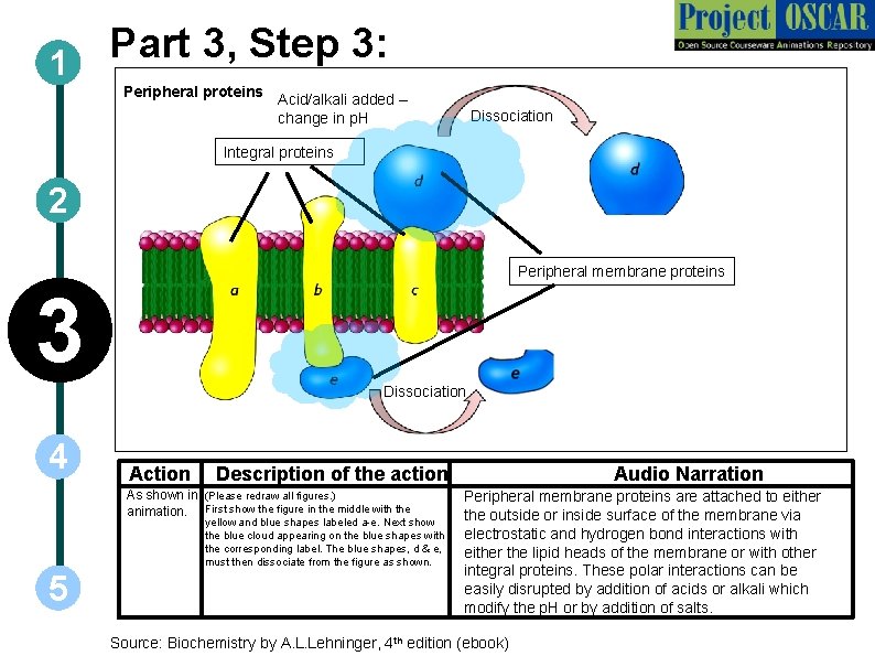 Part 3, Step 3: 1 Peripheral proteins Acid/alkali added – change in p. H