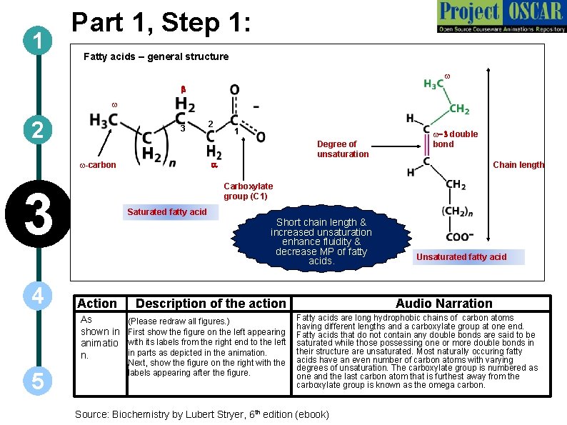 1 Part 1, Step 1: Fatty acids – general structure w b w 2