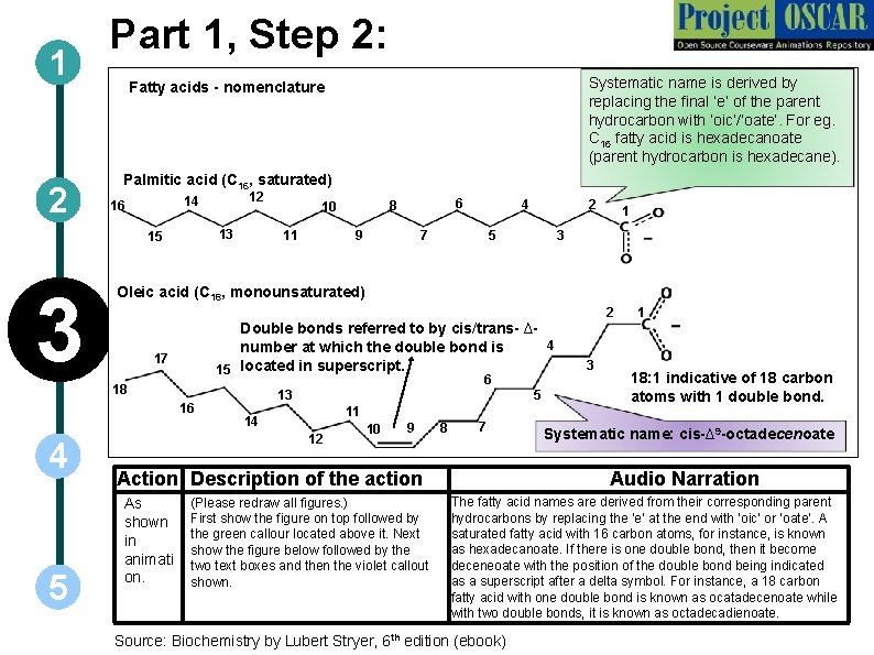 1 2 Part 1, Step 2: Palmitic acid (C 16, saturated) 12 14 16