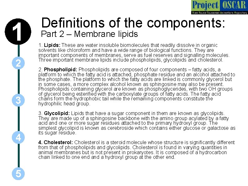 1 2 3 4 5 Definitions of the components: Part 2 – Membrane lipids