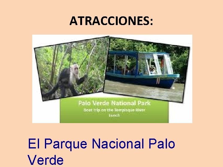 ATRACCIONES: El Parque Nacional Palo Verde 