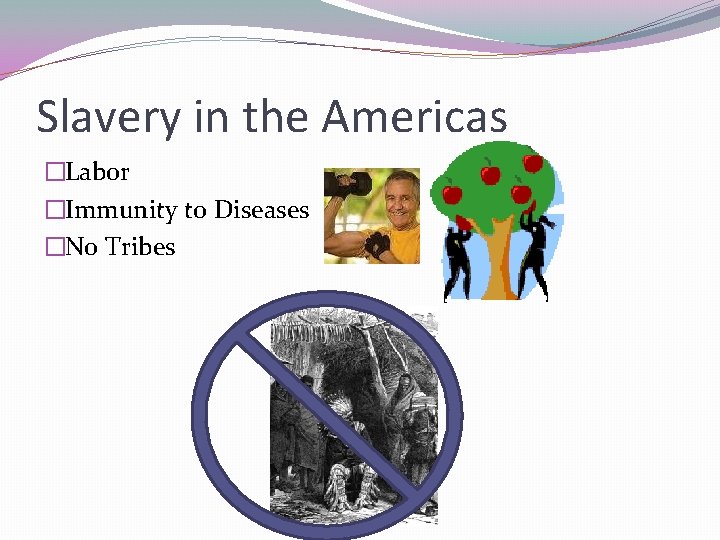 Slavery in the Americas �Labor �Immunity to Diseases �No Tribes 