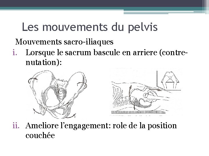 Les mouvements du pelvis Mouvements sacro-iliaques i. Lorsque le sacrum bascule en arriere (contrenutation):