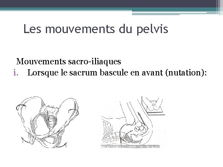 Les mouvements du pelvis Mouvements sacro-iliaques i. Lorsque le sacrum bascule en avant (nutation):