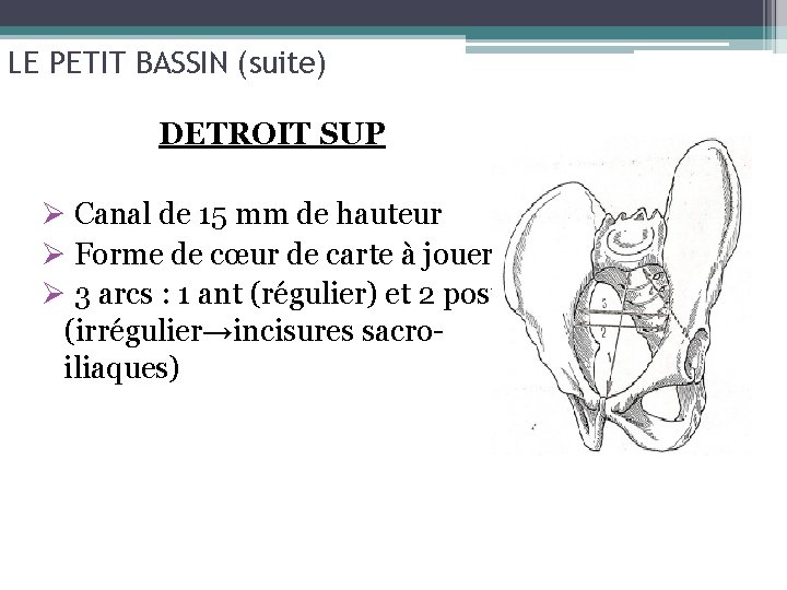 LE PETIT BASSIN (suite) DETROIT SUP Ø Canal de 15 mm de hauteur Ø