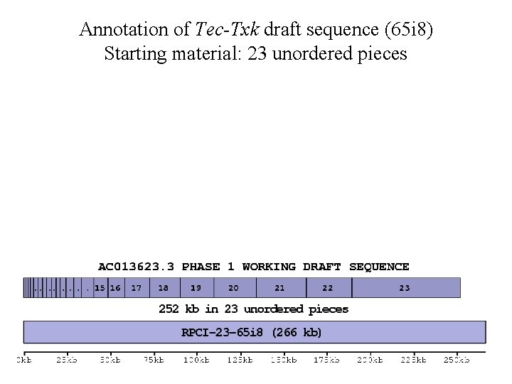 Annotation of Tec-Txk draft sequence (65 i 8) Starting material: 23 unordered pieces 