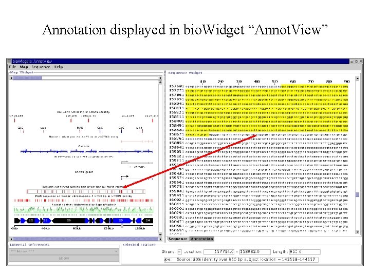 Annotation displayed in bio. Widget “Annot. View” 