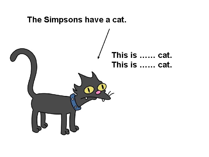 The Simpsons have a cat. This is …… cat. 