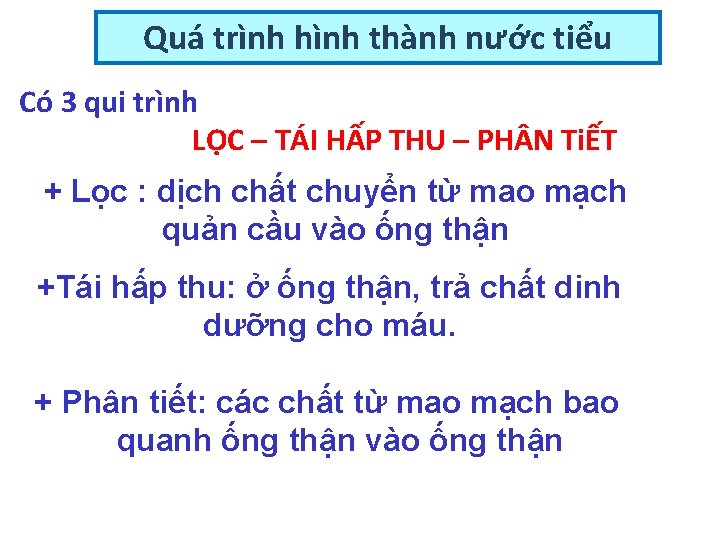 Quá trình hình thành nước tiểu Có 3 qui trình LỌC – TÁI HẤP