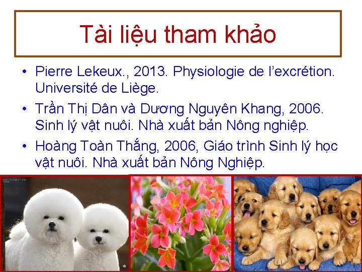 Tài liệu tham khảo • Pierre Lekeux. , 2013. Physiologie de l’excrétion. Université de