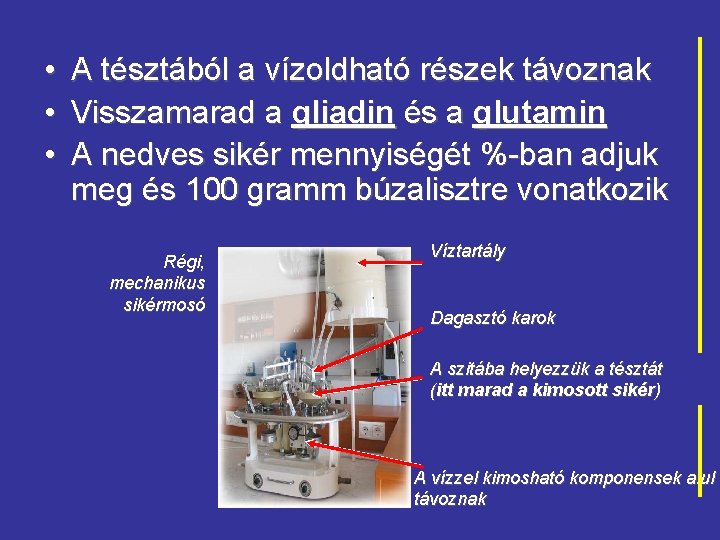  • • • A tésztából a vízoldható részek távoznak Visszamarad a gliadin és