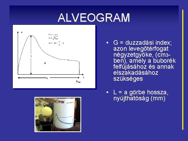 ALVEOGRAM • G = duzzadási index; azon levegőtérfogat négyzetgyöke, (cm 3 ben), amely a