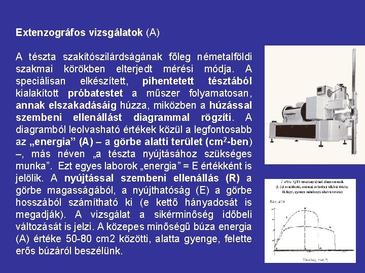 Extenzográfos vizsgálatok (A) A tészta szakítószilárdságának főleg németalföldi szakmai körökben elterjedt mérési módja. A