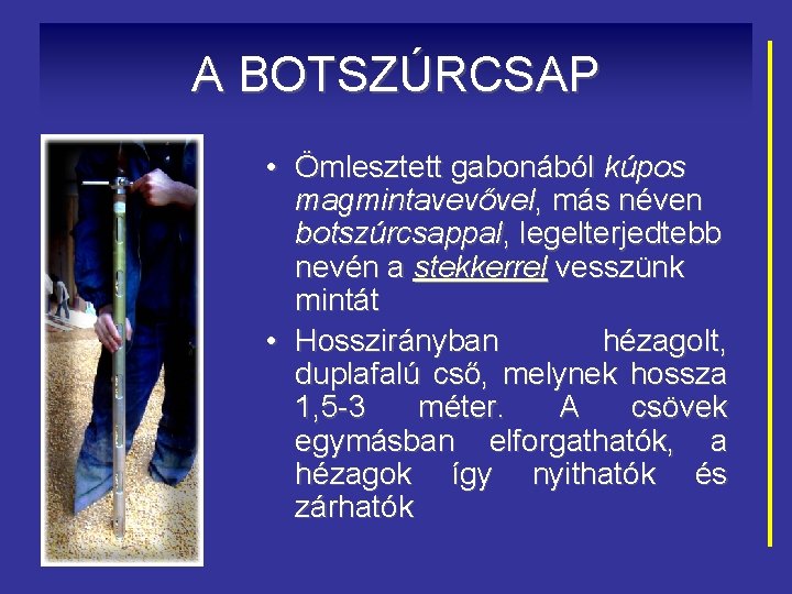 A BOTSZÚRCSAP • Ömlesztett gabonából kúpos magmintavevővel, más néven botszúrcsappal, legelterjedtebb nevén a stekkerrel