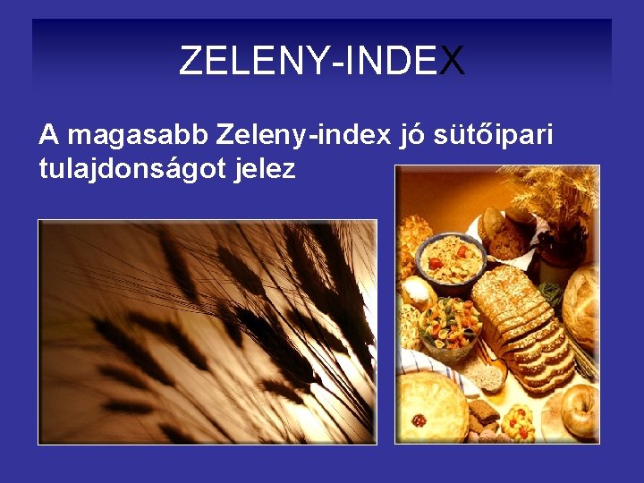 ZELENY-INDEX A magasabb Zeleny-index jó sütőipari tulajdonságot jelez 