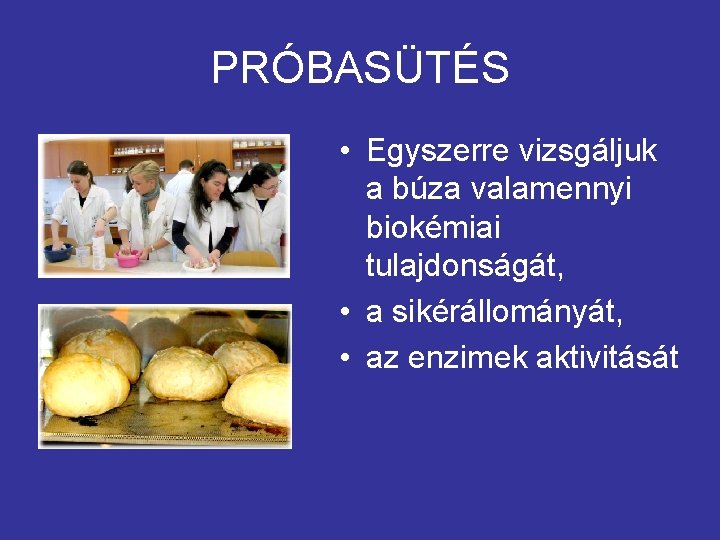 PRÓBASÜTÉS • Egyszerre vizsgáljuk a búza valamennyi biokémiai tulajdonságát, • a sikérállományát, • az