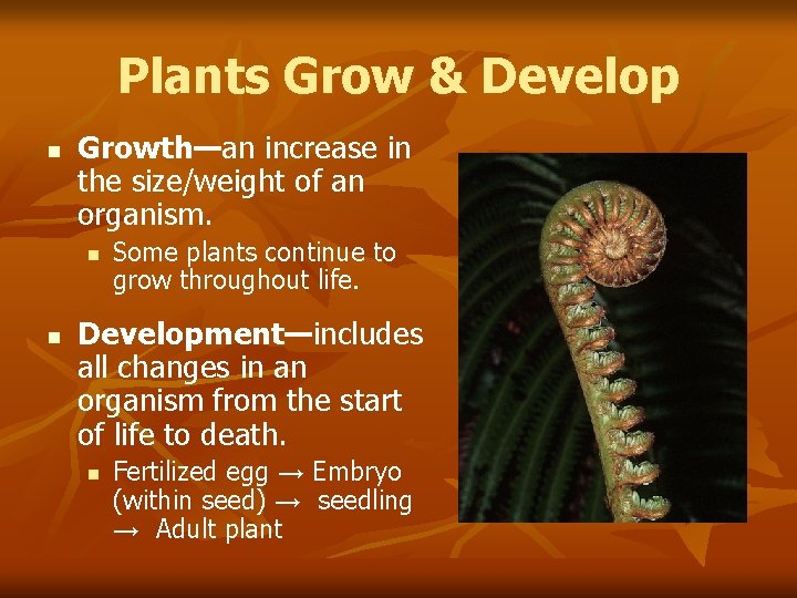 Plants Grow & Develop n Growth—an Growth— increase in the size/weight of an organism.