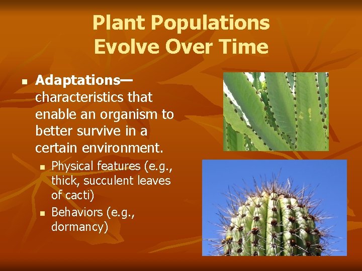 Plant Populations Evolve Over Time n Adaptations— characteristics that enable an organism to better