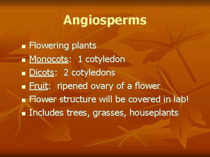 Angiosperms n n n Flowering plants Monocots: 1 cotyledon Dicots: 2 cotyledons Fruit: ripened