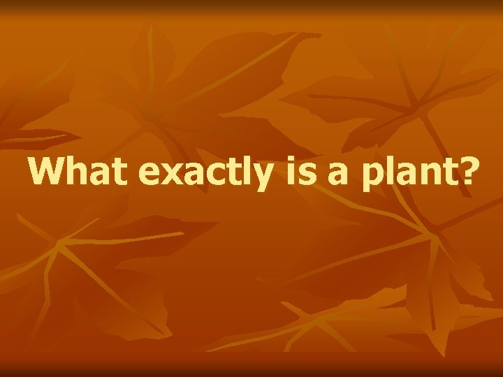 What exactly is a plant? 