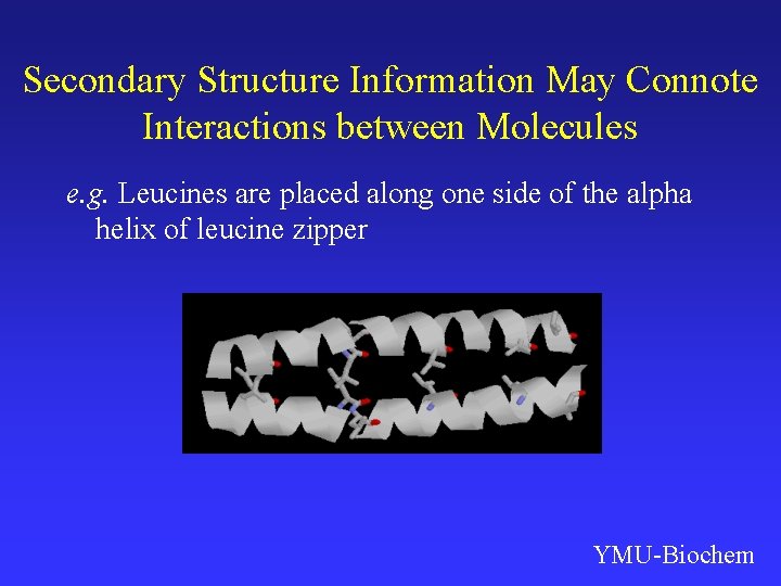 Secondary Structure Information May Connote Interactions between Molecules e. g. Leucines are placed along