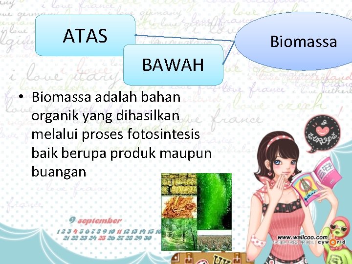 ATAS Biomassa BAWAH • Biomassa adalah bahan organik yang dihasilkan melalui proses fotosintesis baik