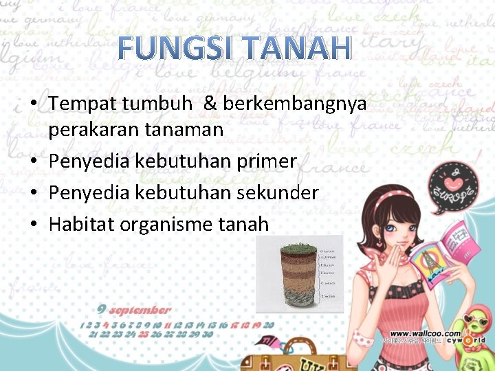 FUNGSI TANAH • Tempat tumbuh & berkembangnya perakaran tanaman • Penyedia kebutuhan primer •