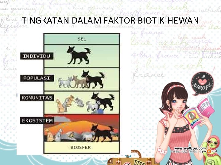 TINGKATAN DALAM FAKTOR BIOTIK-HEWAN 