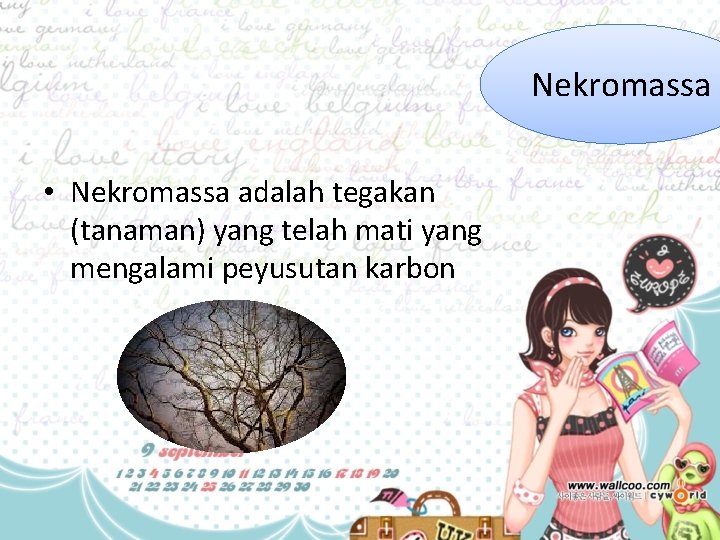 Nekromassa • Nekromassa adalah tegakan (tanaman) yang telah mati yang mengalami peyusutan karbon 