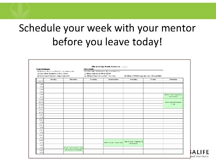 Schedule your week with your mentor before you leave today! 