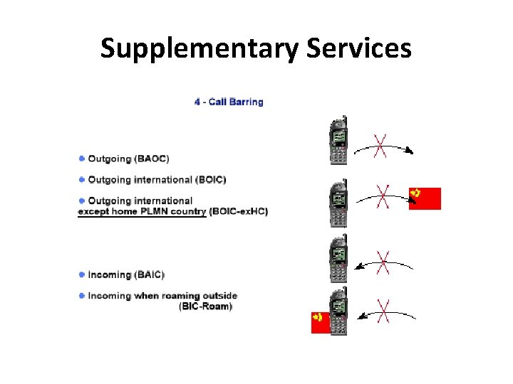 Supplementary Services 