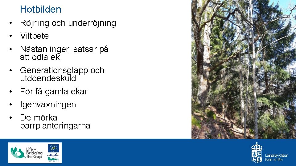 Hotbilden • Röjning och underröjning • Viltbete • Nästan ingen satsar på att odla