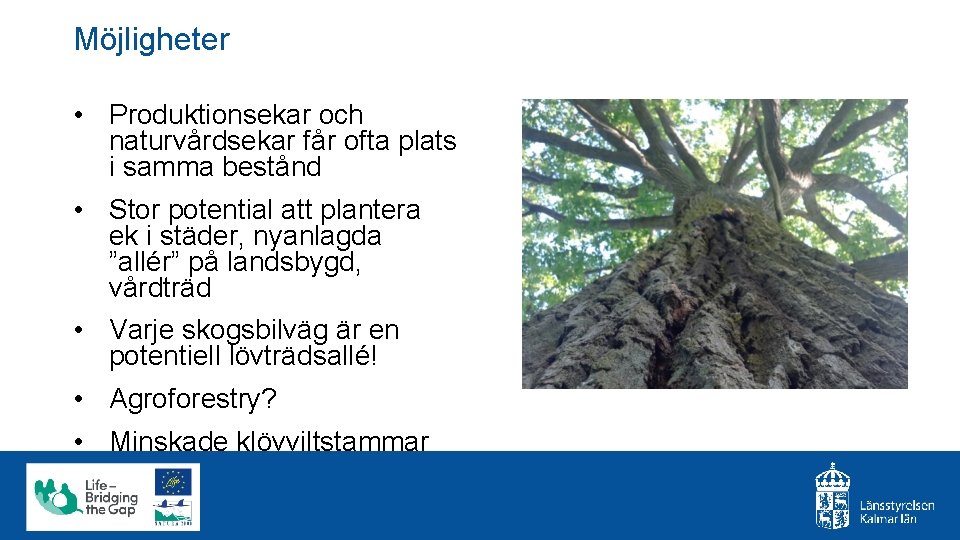 Möjligheter • Produktionsekar och naturvårdsekar får ofta plats i samma bestånd • Stor potential