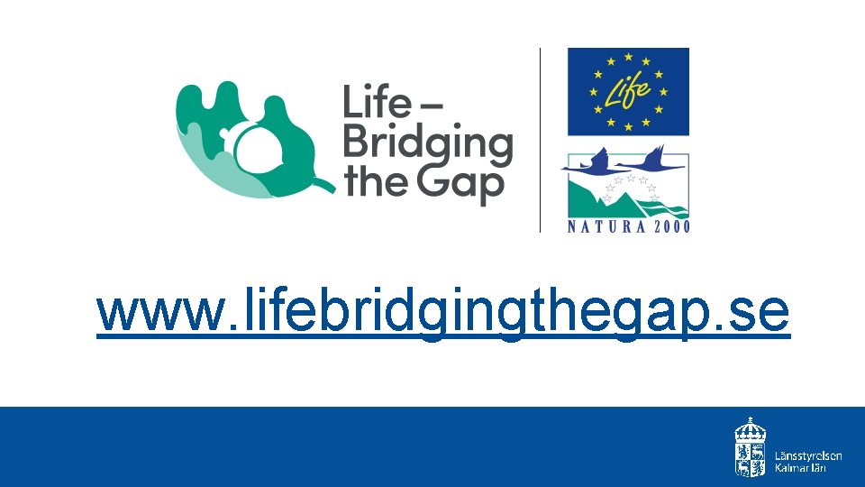 www. lifebridgingthegap. se 