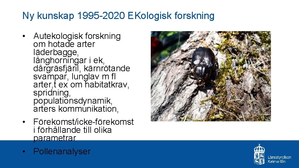 Ny kunskap 1995 -2020 EKologisk forskning • Autekologisk forskning om hotade arter läderbagge, långhorningar