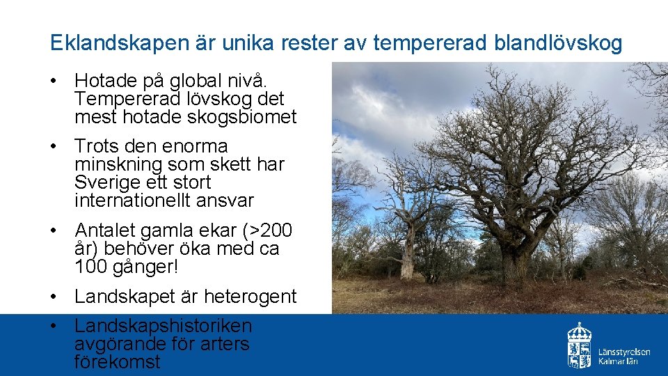 Eklandskapen är unika rester av tempererad blandlövskog • Hotade på global nivå. Tempererad lövskog