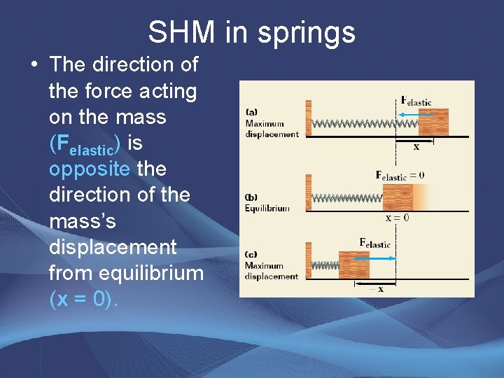 SHM in springs • The direction of the force acting on the mass (Felastic)