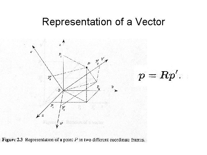 Representation of a Vector 