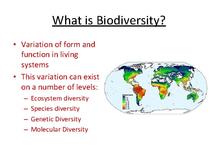 What is Biodiversity? • Variation of form and function in living systems • This