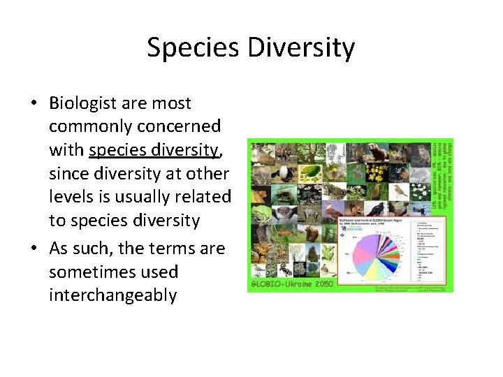 Species Diversity • Biologist are most commonly concerned with species diversity, since diversity at