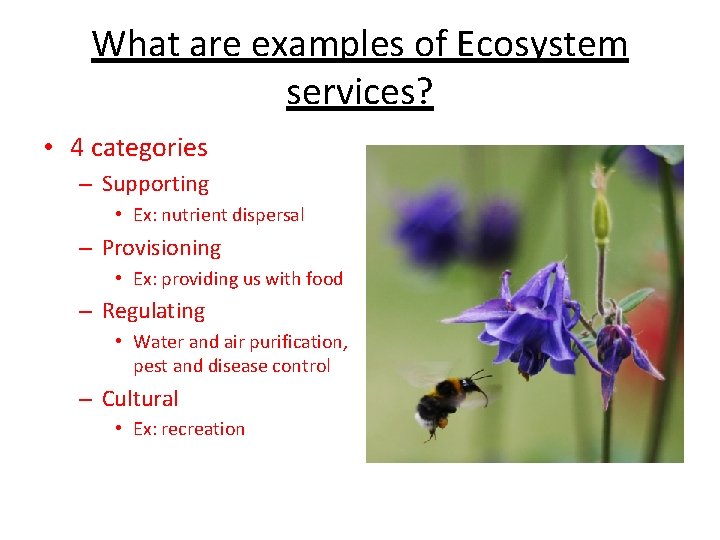 What are examples of Ecosystem services? • 4 categories – Supporting • Ex: nutrient