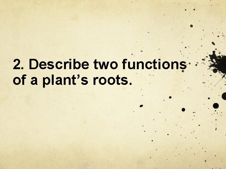 2. Describe two functions of a plant’s roots. 