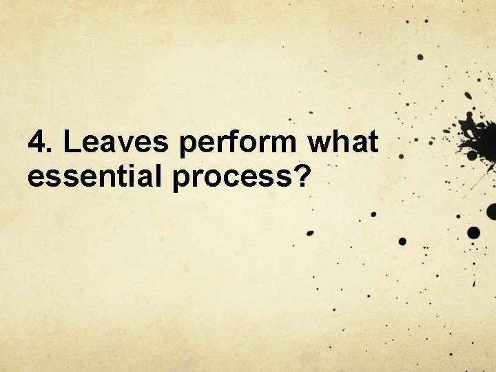 4. Leaves perform what essential process? 
