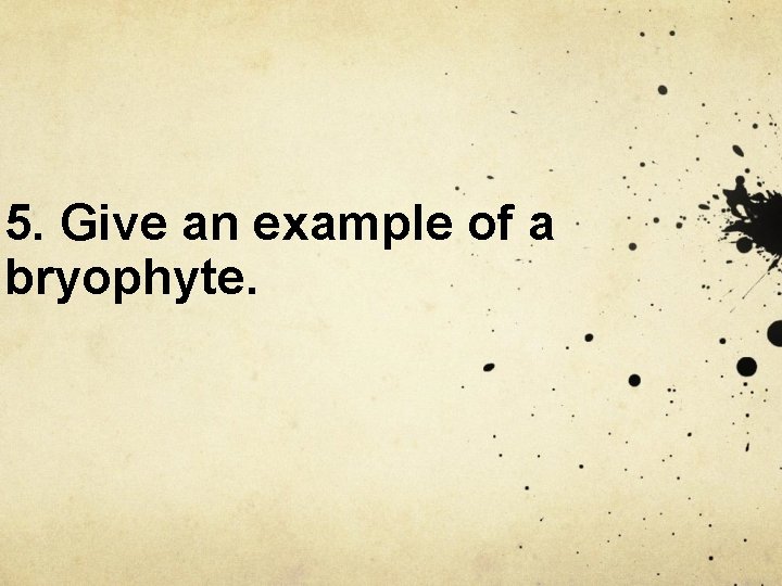 5. Give an example of a bryophyte. 