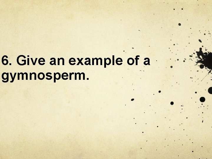 6. Give an example of a gymnosperm. 