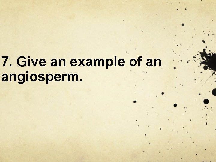 7. Give an example of an angiosperm. 