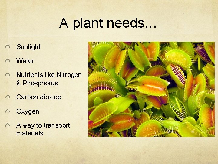 A plant needs… Sunlight Water Nutrients like Nitrogen & Phosphorus Carbon dioxide Oxygen A
