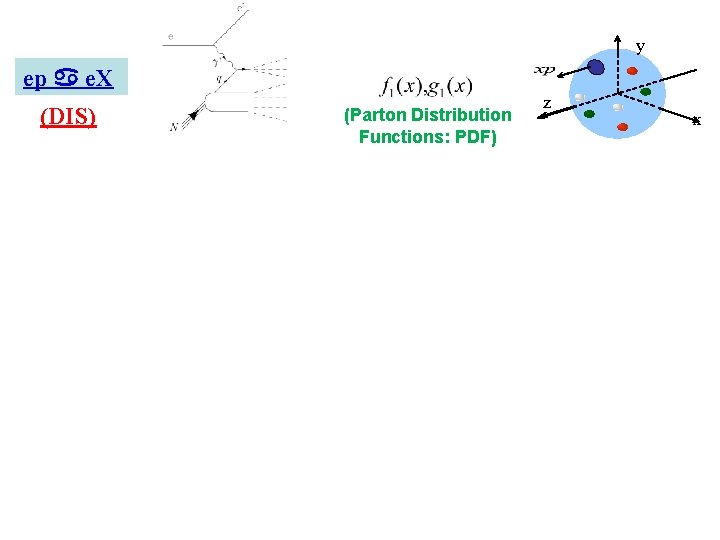 y ep a e. X (DIS) (Parton Distribution Functions: PDF) z x 